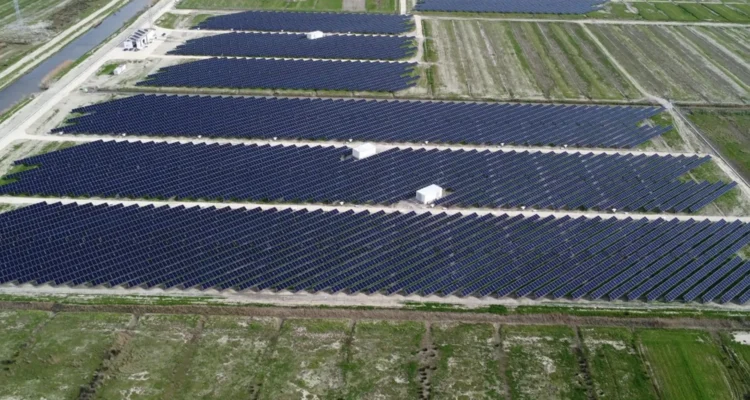 EZ 5 Energy 3 Vega Group