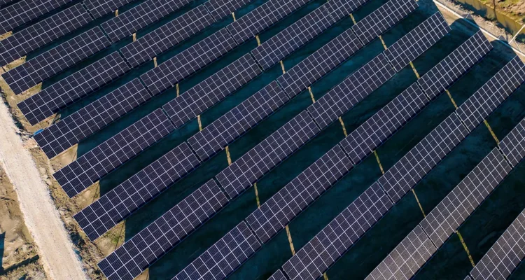 VEGA Energy Is Leading the Way in Building Sustainable Solar Parks Across Europe