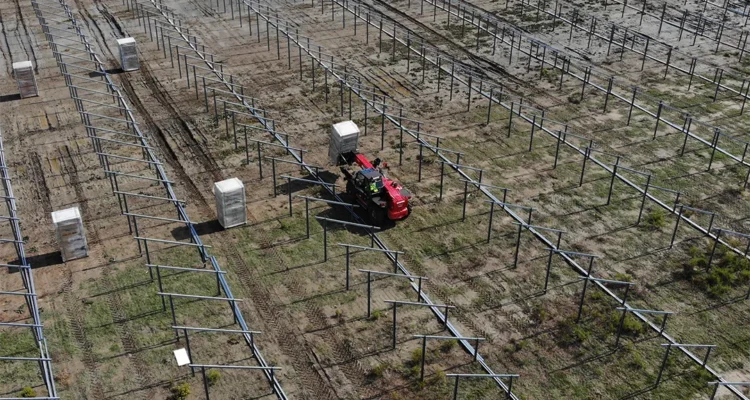 Top solar energy trends shaping the renewable market in 2025